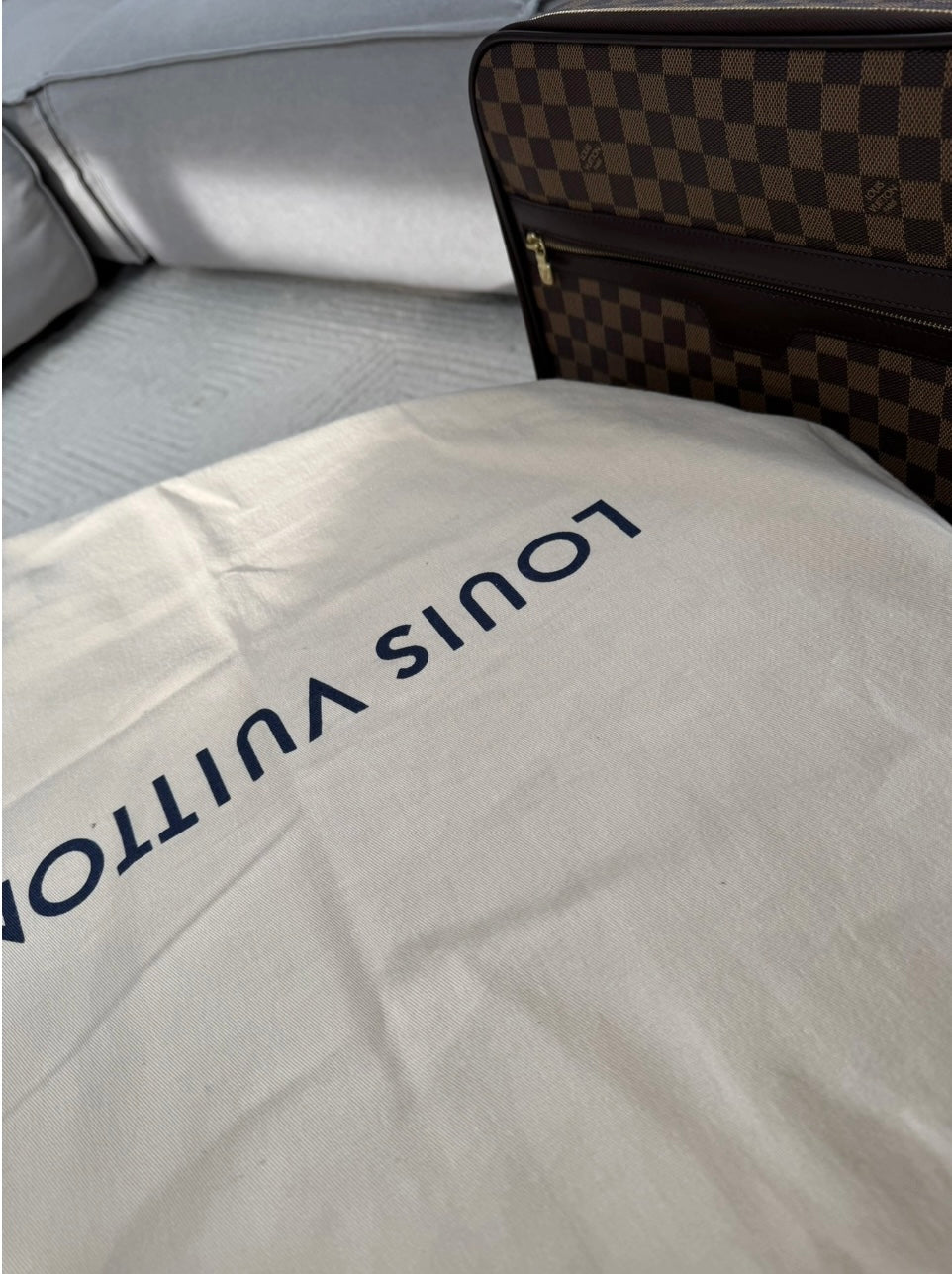 LV leather travel bag Pegase 55 Damier Ebene